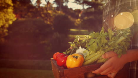 hombre sosteniendo una caja con verduras