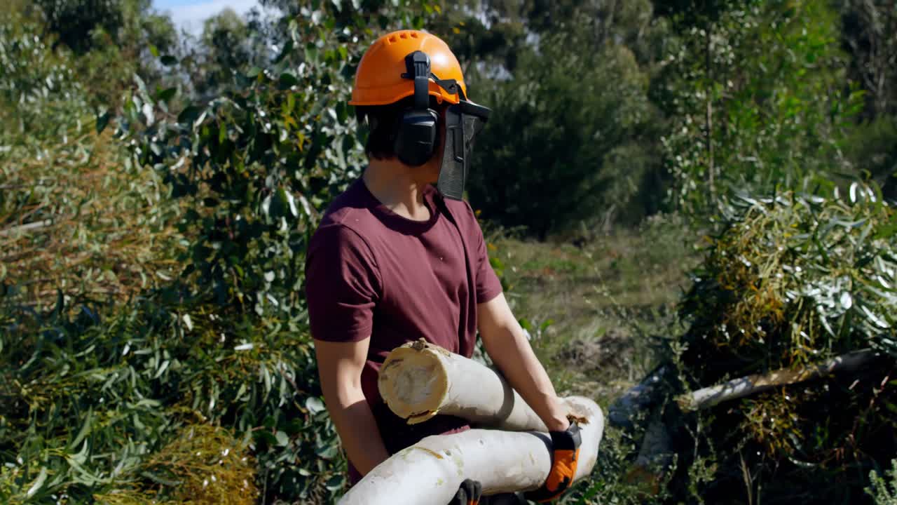 leñador llevando troncos de madera en el bosque 4k
