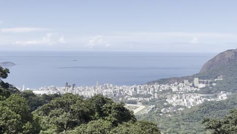 coastal city view from lush hillside