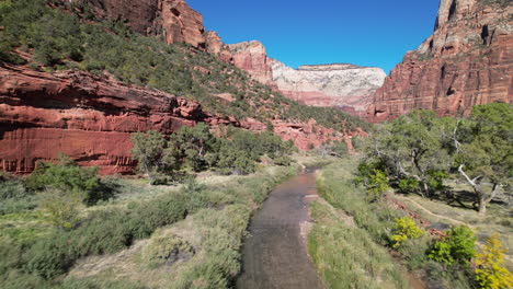 aerial view of a serene river winding through the lush, red rock-lined valleys of zion national park, surrounded by vibrant vegetation and towering cliffs under a bright blue sky.