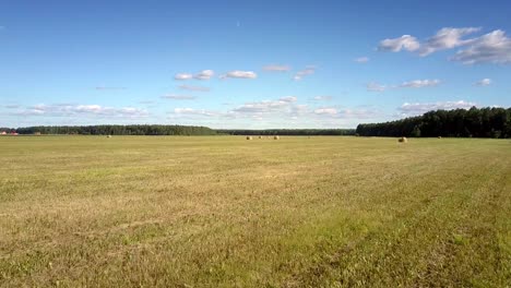 fast motion close over dry grass field to round hay bales