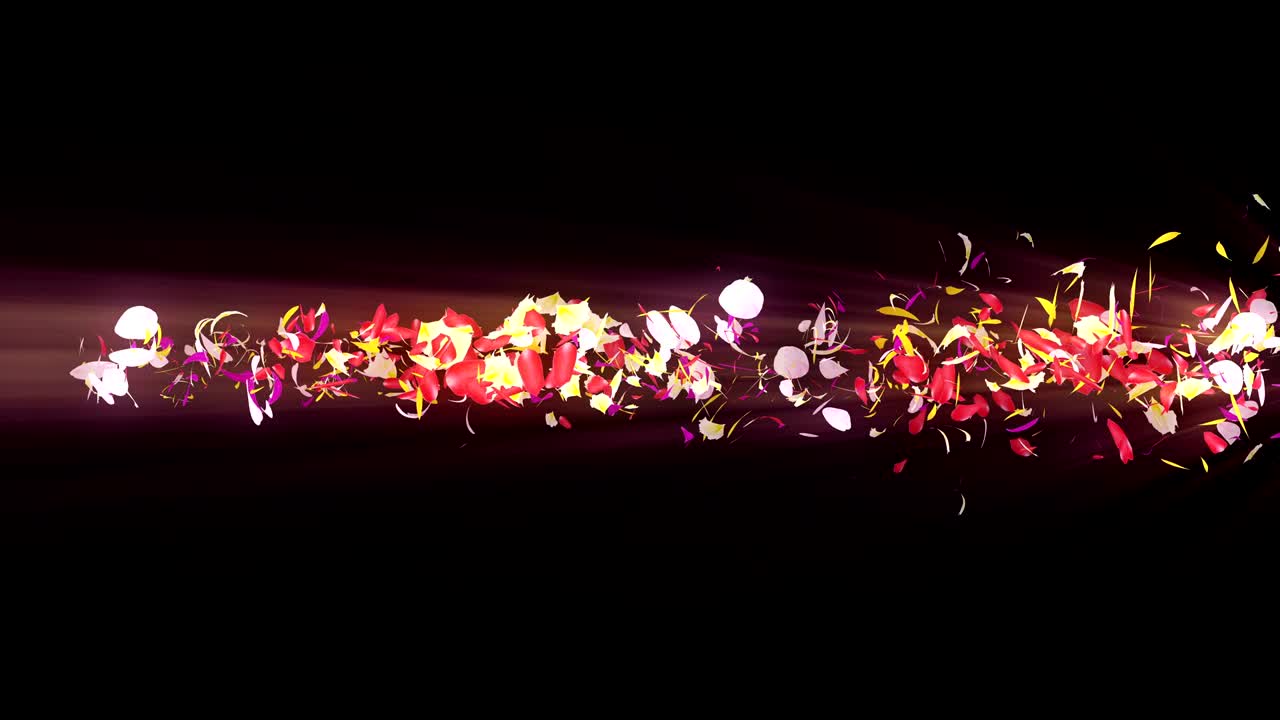 화려한 잎자루, 나선형 반이는 꽃잎, 꽃 모양, 예쁜 춤추는 꽃잎, 회전하는 꽃잎에서 소용돌이, 추상적인 루프 애니메이션.