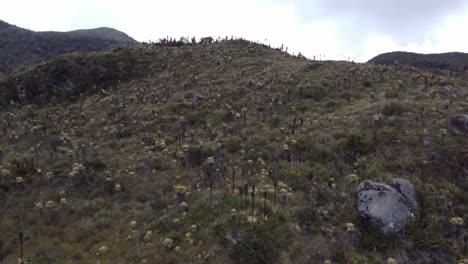 fotografía panorámica del paisaje andino en el páramo del sol en el departamento de antioquia en colombia