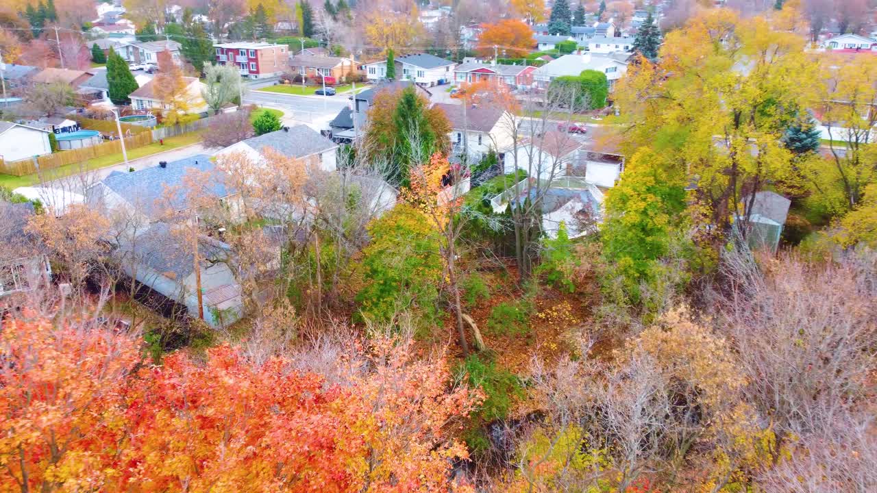 Drone descends over fall trees to reveal brook behind homes in Estrie, Quebec, Canada