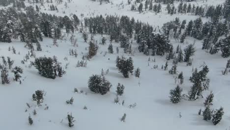 Imágenes-Aéreas-De-Un-Dron-En-4k-De-Un-Esquiador-Bajando-Una-Colina-Empinada-En-El-Interior-Nevado-De-Las-Montañas-De-Sierra-Nevada-En-El-Lago-Tahoe