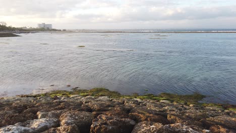 quiet waves shore green moss stone seascape at sanur sea beach bali indonesia, inna grand hotel background