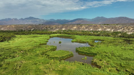 Vista-Aérea-Hacia-Atrás-Sobre-El-Oasis-Mirador-Santiago,-En-Baja-California,-México