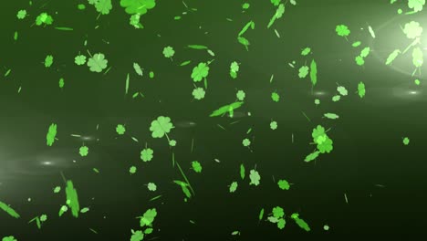 animation multiple floating green shamrocks