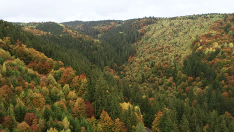 Vista-Aérea-De-La-Carretera-Que-Serpentea-A-Través-Del-Bosque-De-Montaña,-Temporada-De-Otoño,-Hermosa-Plantilla-De-Paisaje-Colorido,-Espacio-De-Copia,-Rumania