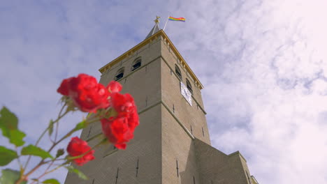 a red rose waving in the wind in front of an old gothic church in the netherlands