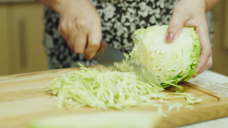 Close-Up-Of-The-Hands-Of-An-Elderly-Woman