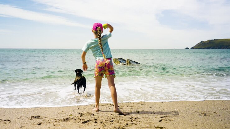 Girl and Dog at the Beach