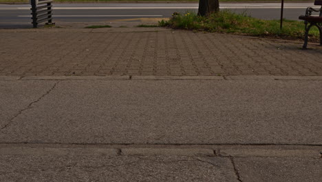 Cyclist-riding-bicycle-on-city-street-bicycle-land