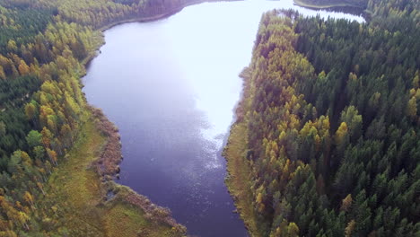 Imágenes-Tranquilas-De-Drones-De-Un-Lago-Forestal-Con-Hermosos-Reflejos-Del-Sol-En-Otoño