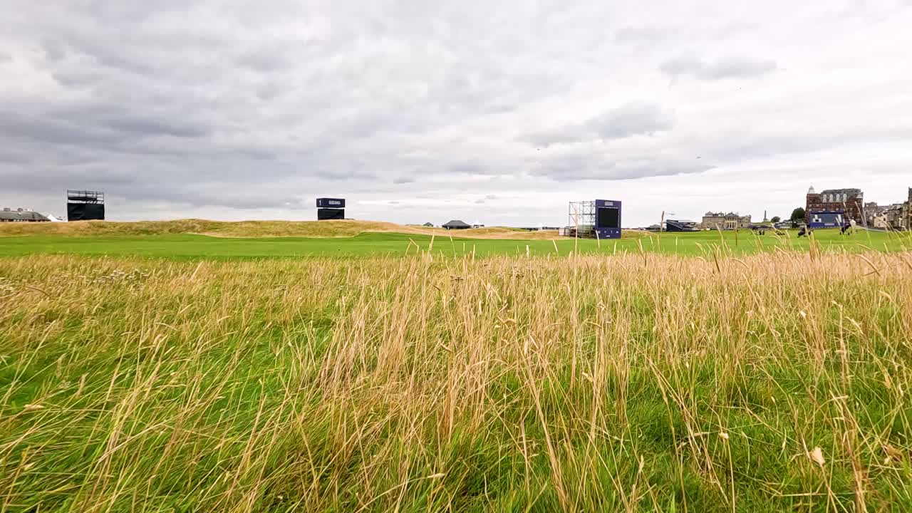 멀리 떨어진 구조물과 함께 울창한 초록색