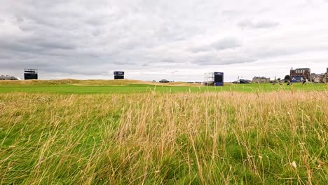 lush green fields with distant structures