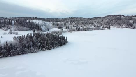 Durchqueren-Sie-Den-Bezaubernden,-Schneebedeckten-Wald,-In-Dem-Jeder-Ast-Zart-Mit-Einer-Unberührten-Schneeschicht-Geschmückt-Ist-Und-Eine-Magische-Atmosphäre-Schafft,-Die-Sie-In-Ein-Reich-Der-Ruhe-Entführt