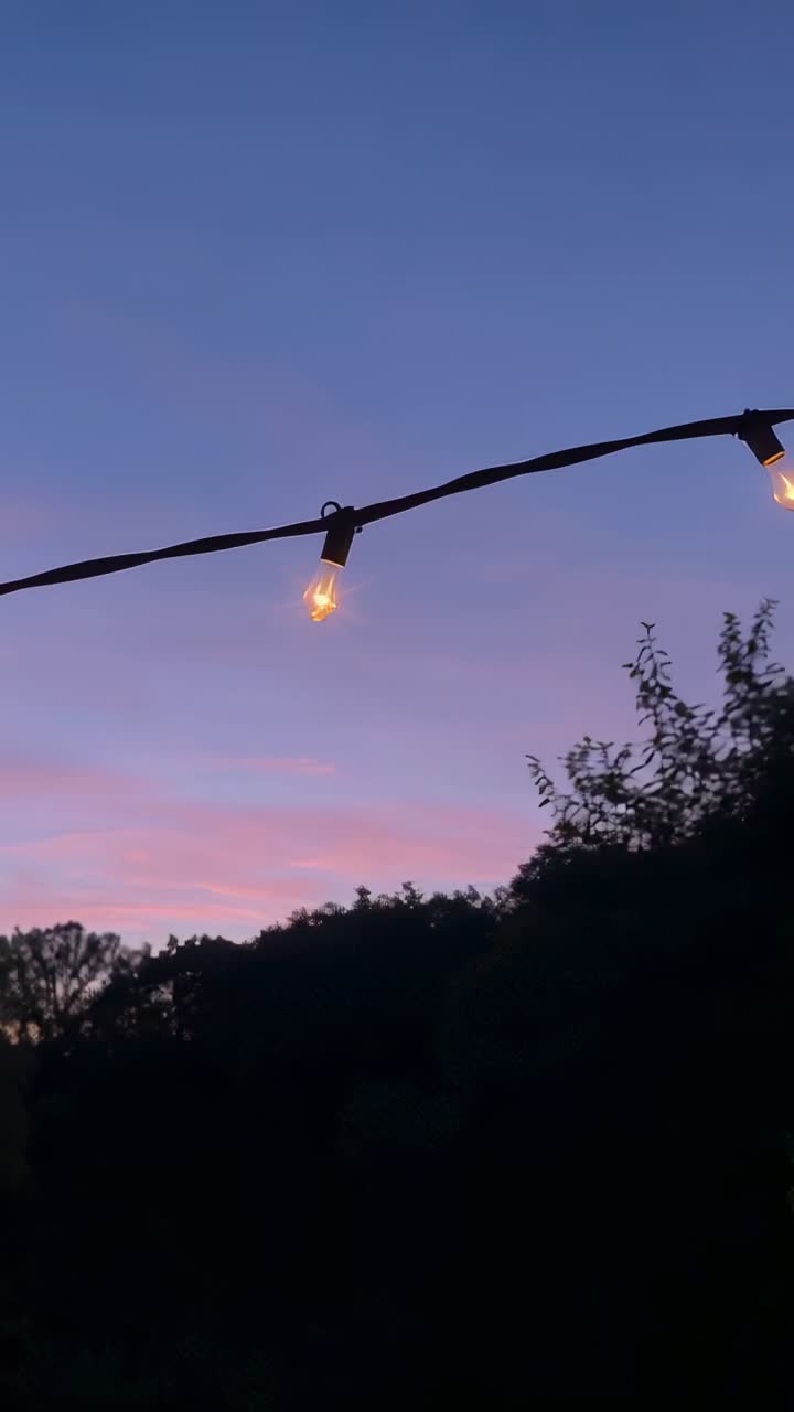 Vertical video: Glowing filament bulbs hanging across patio at twilight, trees silhouetting below