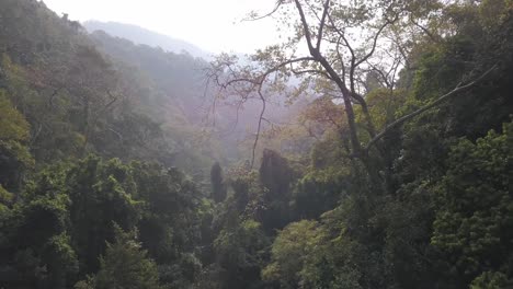shaggy jungle landscape at the valley of mainapi waterfall in cotigao wildlife sanctuary, netravali, south goa, india