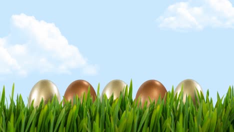 animation of gold and bronze easter eggs in grass over blue sky