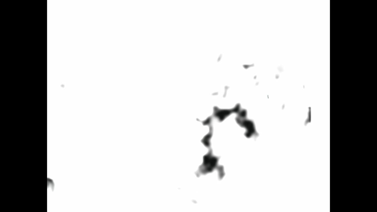 People in Conversation Outdoors - Vintage Footage