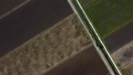 Rectangular-Green-paddy-fields-Top-Down-aerial-shot-moving-forward