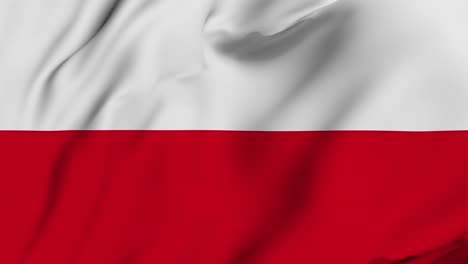 polish 4k waving flag