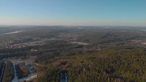 smooth drone 4k shoot over forest in sweden