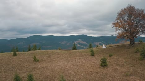 Vista-Aérea-De-La-Encantadora-Joven-Novia-Y-El-Novio-Caminando-Por-La-Ladera-De-La-Montaña,-Pareja-De-Novios-Familia