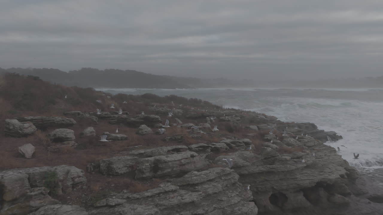 Aerial View of Stormy Ocean Waves Crashing on a Rocky Coastline with Seagulls