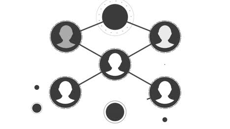 red de perfiles de personas