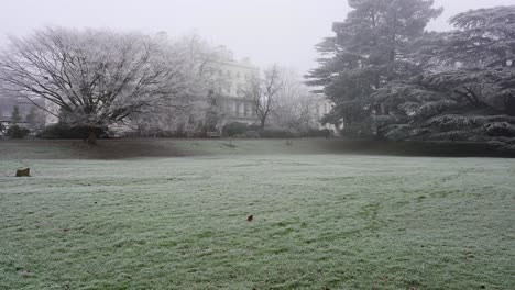 Frost-covers-the-grass-on-a-freezing-cold-winter-day-with-mist-and-fog-in-Jephson-Gardens,-a-park-in-Leamington-Spa,-Warwickshire,-England