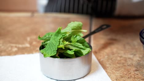 measuring mint leaves to add to a special mediterranean dish - side view lamb patty series