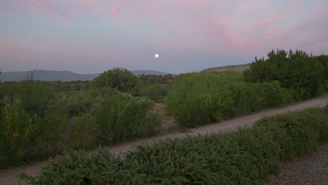 Paisaje-Desértico-Al-Amanecer-Con-Luna-Brillando