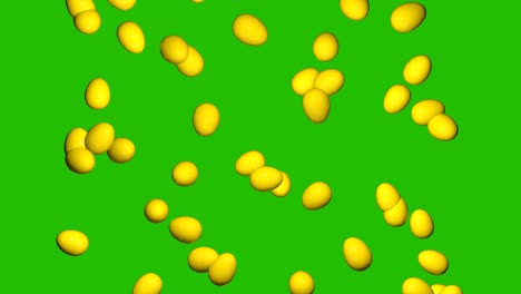 rain of easter yellow eggs on a chroma key background. video effect for easter.