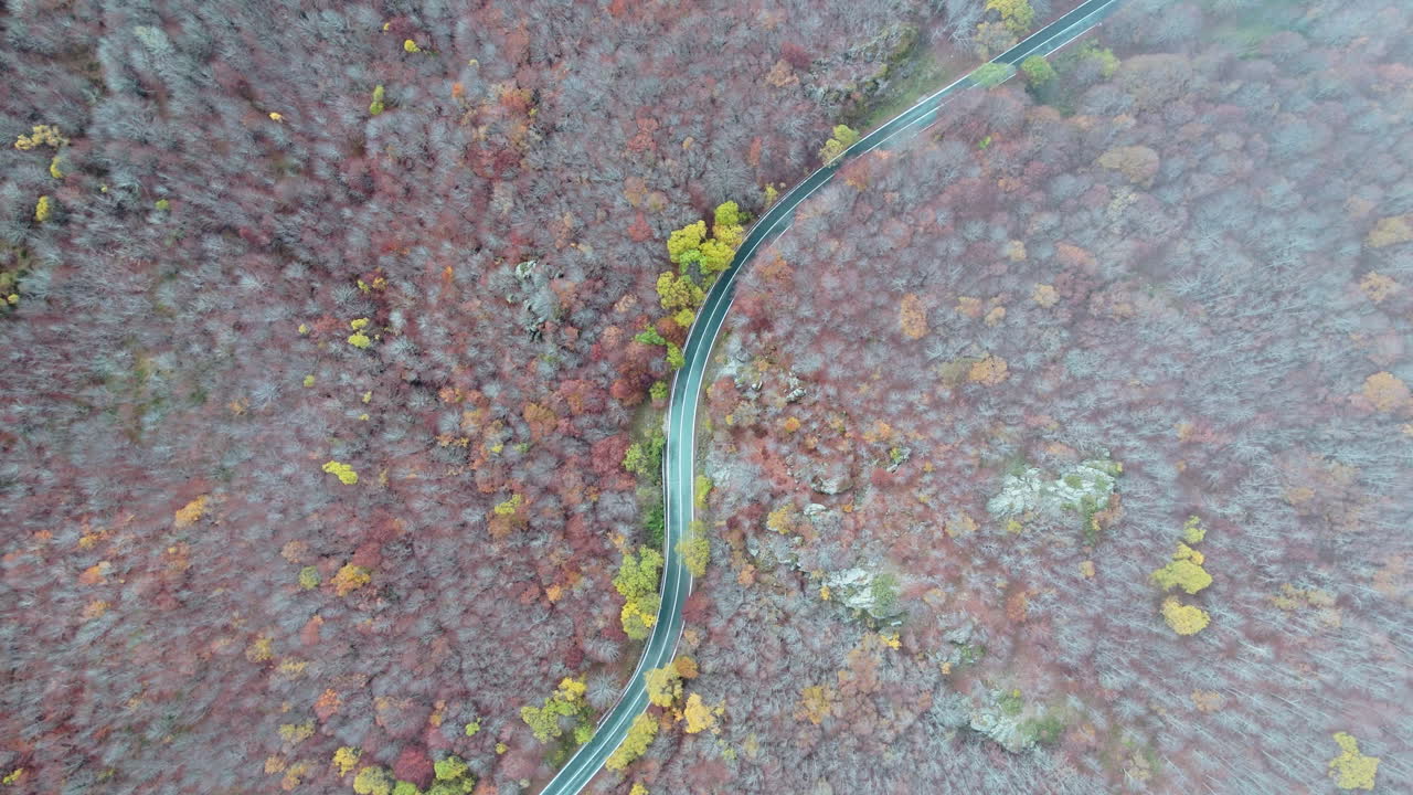 Scenic aerial view of winding road through vibrant autumn forest