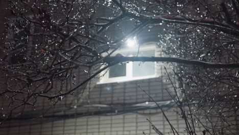 close-up of frosted bare tree branches shimmering with sparkling ice and snow, illuminated by a bright light and soft glow from nearby building windows