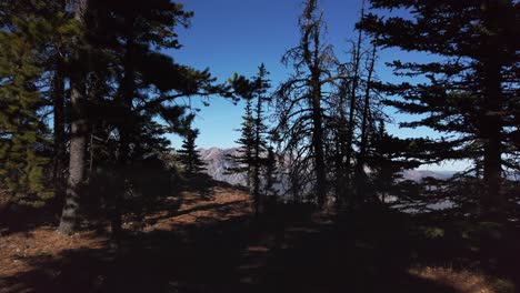 Rans-Kanada-Autobahn-Berge-Wald-Kananaskis-Alberta-Enthüllen