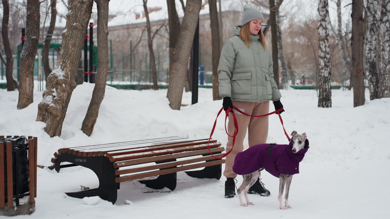 Woman wearing winter coat stands in snowy park holding red leash attached to whippet dressed in purple coat, trees surround quiet area, bench and trash bin visible, calm cold weather, peaceful moment