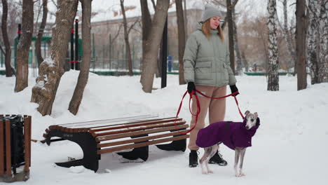woman wearing winter coat stands in snowy park holding red leash attached to whippet dressed in purple coat, trees surround quiet area, bench and trash bin visible, calm cold weather, peaceful moment
