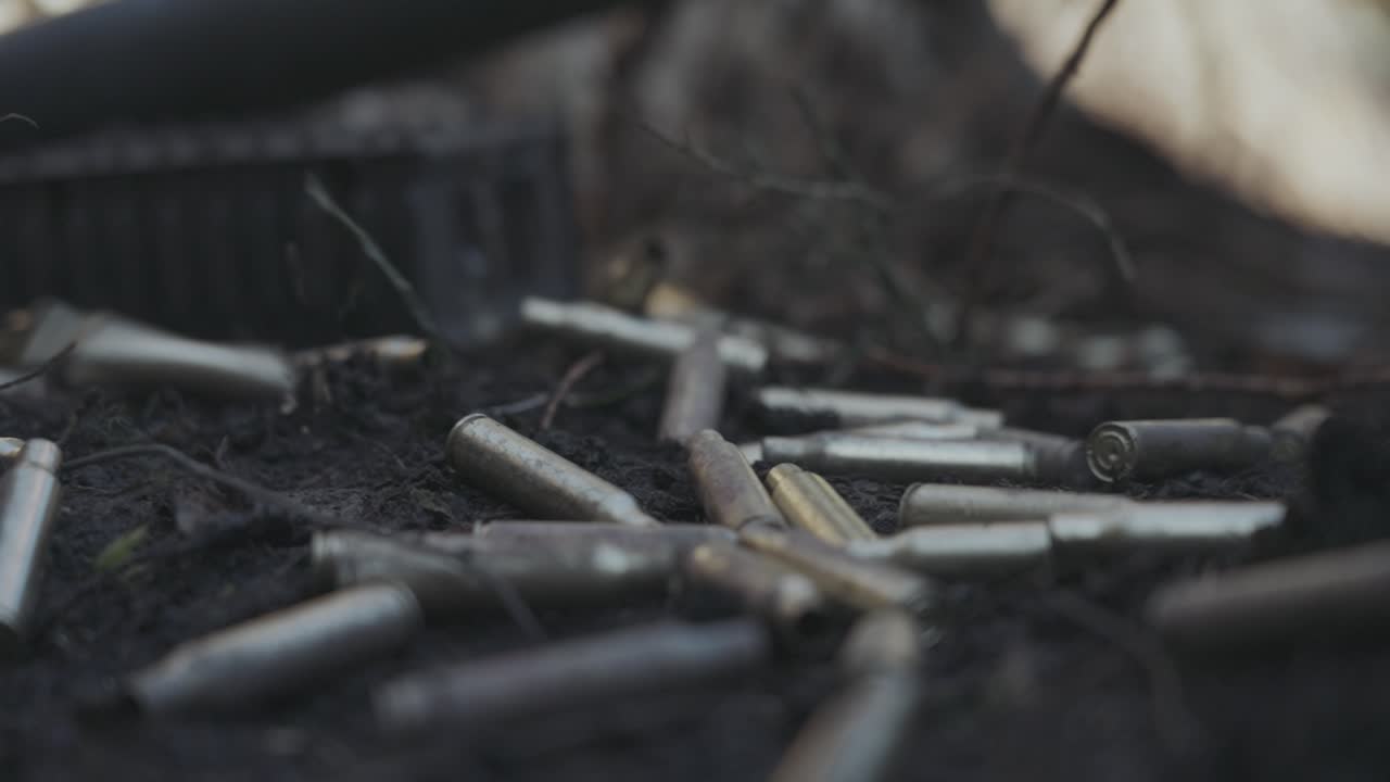 숲 바닥에 떨어지는 소용돌이 데기의 느린 촬영 영상