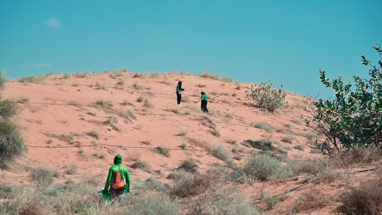 A view of the Arabian desert dotted with green plants and trees in the UAE