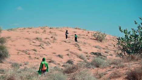 a view of the arabian desert dotted with green plants and trees in the uae