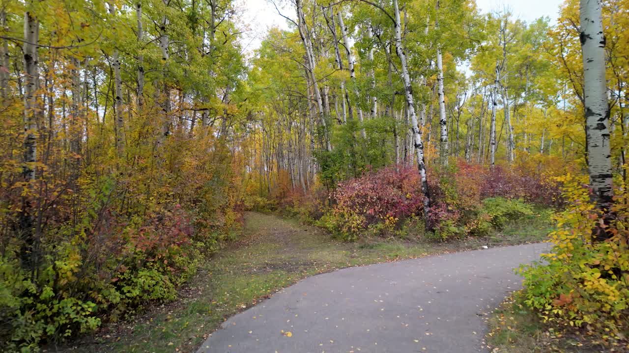 데본 보이저 파크의 색