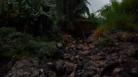 Aerial-backwards-flight-in-deep-jungle-with-water-scarcity-in-nature-during-daytime---CLimate-change-and-global-warming-on-earth