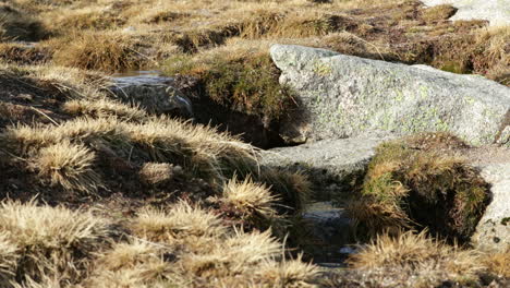 Water-From-The-Snowmelt-Flowing-In-Serra-Da-Estrela-In-Portugal-On-A-Sunny-Day---medium-slowmo-shot