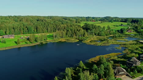 disparo de drones volando sobre hermosos campos y bosques verdes, noruega