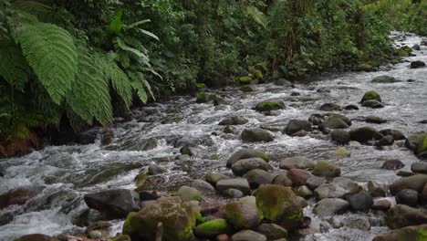 Río-En-La-Montaña-Con-Rocas-Y-árboles