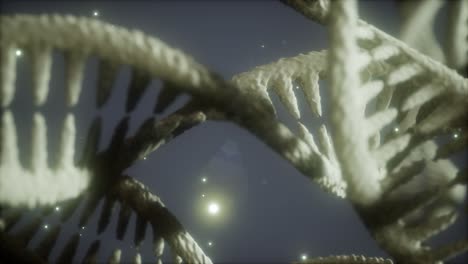 double helical structure of dna strand close-up animation