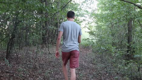 man walking in the green forest - shot from behind